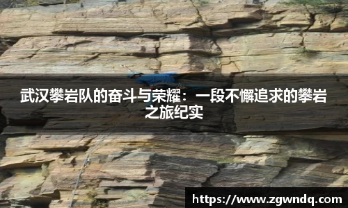 XK体育