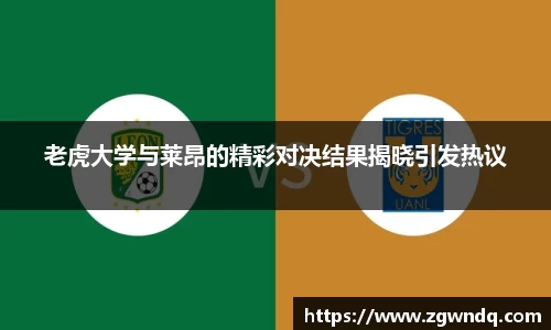 XK体育