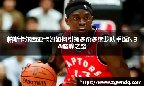 XK星空体育